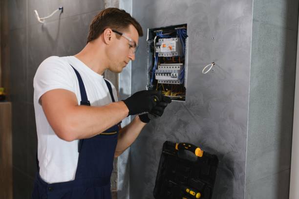 Best Electrical Troubleshooting Services  in Leisure City, FL
