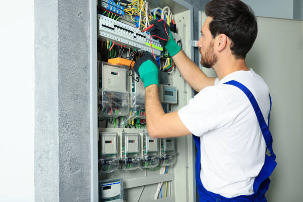 Best Electrical System Inspection  in Leisure City, FL