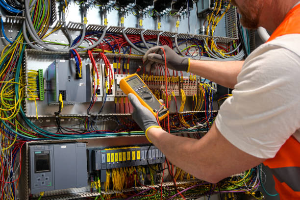 Best Electric Panel Repair  in Leisure City, FL